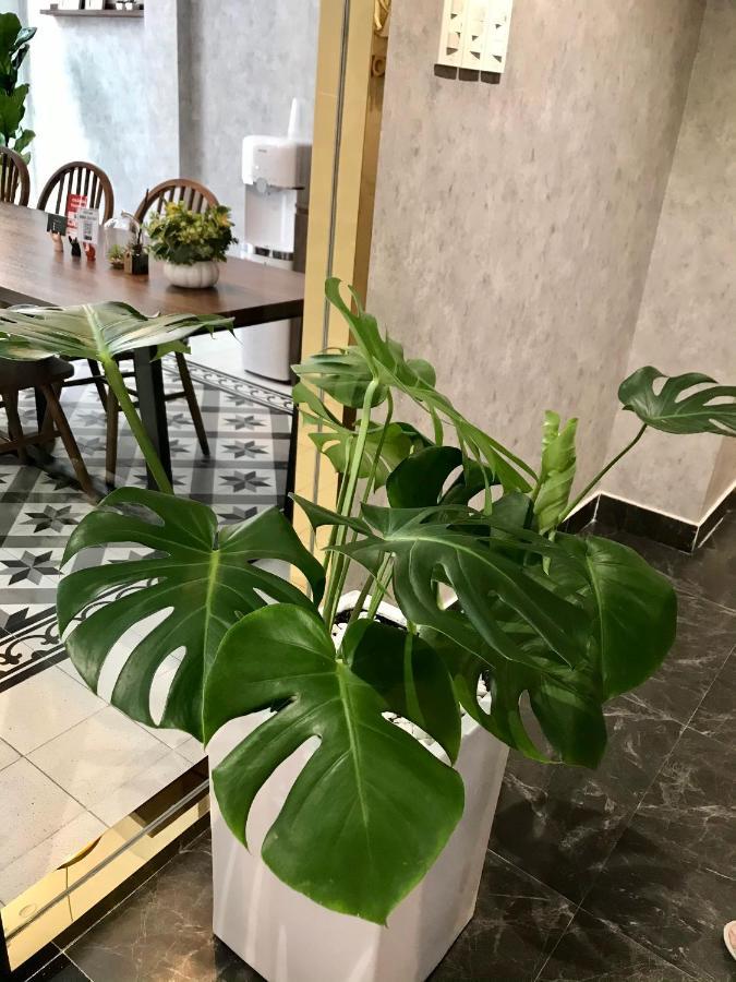 Appartement Pandora House à Hô Chi Minh-Ville Extérieur photo